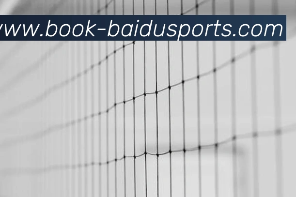 百度体育官网品牌故事