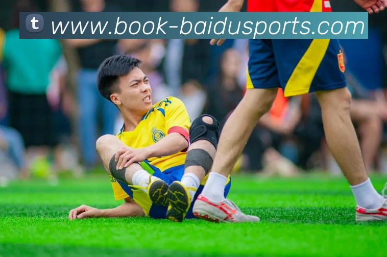 百度体育官网服务体系