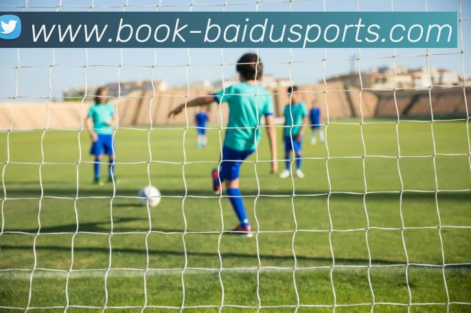 百度体育官网APP 体育赛事宣传图